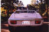 Lotus3.jpg (40827 bytes)